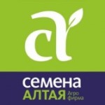Семена Алтая Семена Алтая