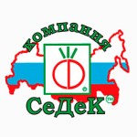 Седек Седек