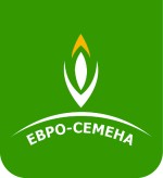 Семена Евро семена Семена Евро семена
