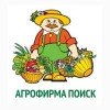 Поиск