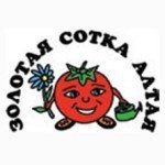Золотая сотка Алтая (зса)