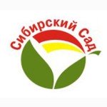 Сибирский сад