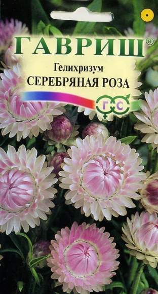 Гелихризум Серебряная роза (гавриш) 0,01гр  – купить в г. Омск