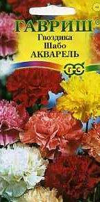 Гвоздика Шабо Акварель (гавриш) 0,05гр  – купить в г. Омск