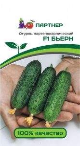 Огурец Бьерн F1 (партнер) 5 шт – купить в г. Омск Огурец Бьерн F1 (партнер) 5 шт – купить в г. Омск