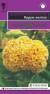 Целозия гребенчатая Курум желтая (гавриш) 8шт  – купить в г. Омск