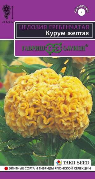 Целозия гребенчатая Курум желтая (гавриш) 8шт  – купить в г. Омск