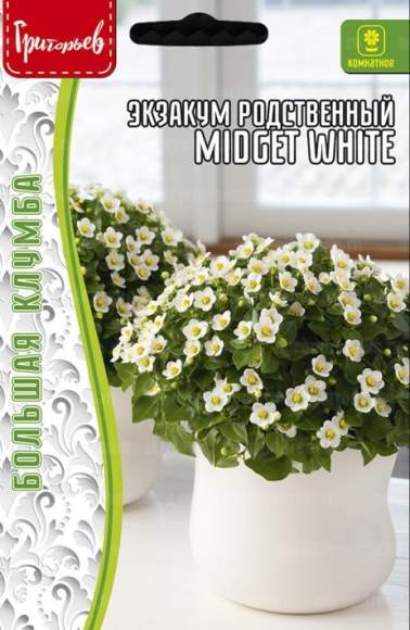 Экзакум родственный Midget white (Григорьев) 10 шт – купить в г. Омск Экзакум родственный Midget white (Григорьев) 10 шт – купить в г. Омск
