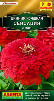 Цинния Сенсация алая (аэлита) 12 шт