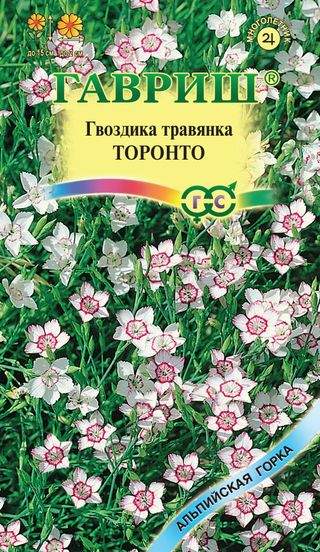 Гвоздика травянка Торонто (гавриш) 0,05гр многолетняя  – купить в г. Омск