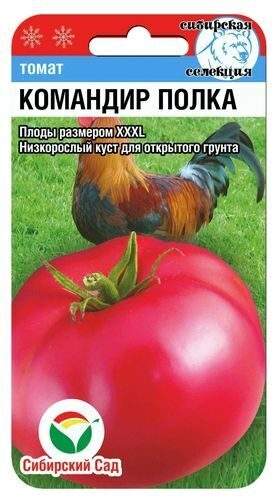 Томат Командир полка (сибирский сад) 20шт  – купить в г. Омск