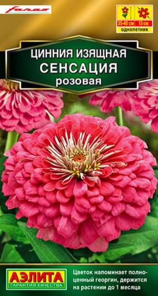 Цинния Сенсация розовая (аэлита) 12 шт  – купить в г. Омск