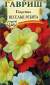 Георгина Веселые ребята (гавриш) 0,3гр  – купить в г. Омск