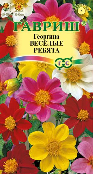 Георгина Веселые ребята (гавриш) 0,3гр  – купить в г. Омск