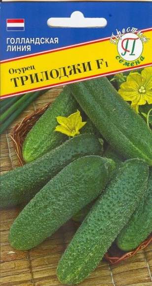 Огурец Трилоджи F1 (престиж) 5 шт – купить в г. Омск Огурец Трилоджи F1 (престиж) 5 шт – купить в г. Омск