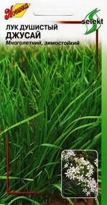 Лук душистый Джусай (дом семян) 40 шт  – купить в г. Омск