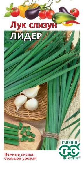 Лук слизун Лидер (гавриш) 0,5 гр – купить в г. Омск Лук слизун Лидер (гавриш) 0,5 гр – купить в г. Омск