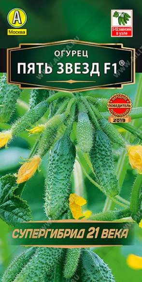 Огурец Пять звезд F1 (аэлита) 10 шт – купить в г. Омск Огурец Пять звезд F1 (аэлита) 10 шт – купить в г. Омск