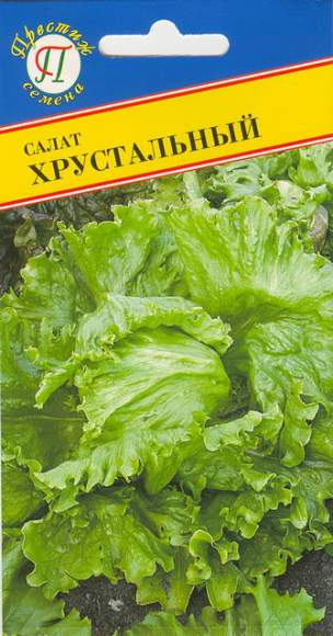 Салат кочанный Хрустальный (престиж) 0,5 гр – купить в г. Омск Салат кочанный Хрустальный (престиж) 0,5 гр – купить в г. Омск