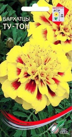 Бархатцы Ту-тон (дом семян) 80 шт  – купить в г. Омск