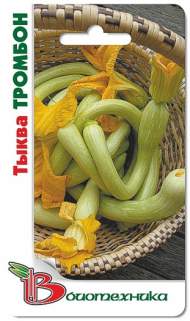 Тыква Тромбон мускатная (биотехника) 5шт Тыква Тромбон мускатная (биотехника) 5шт