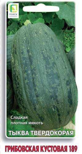 Тыква Грибовская кустовая 189 (поиск) 10 шт – купить в г. Омск Тыква Грибовская кустовая 189 (поиск) 10 шт – купить в г. Омск