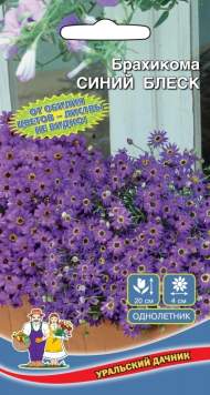 Брахикома Синий блеск (уральский дачник) 0,05 гр