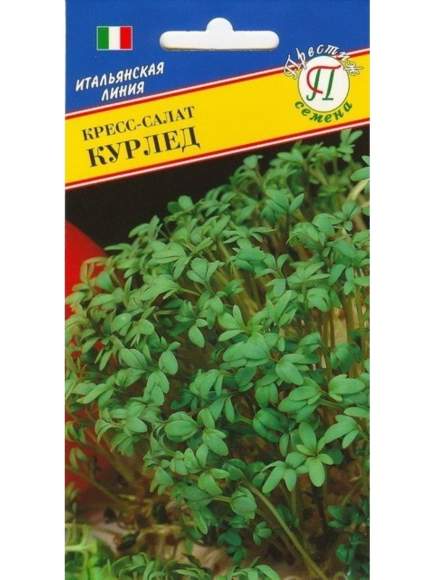 Кресс-салат Курлед (престиж) 0,5 гр – купить в г. Омск Кресс-салат Курлед (престиж) 0,5 гр – купить в г. Омск