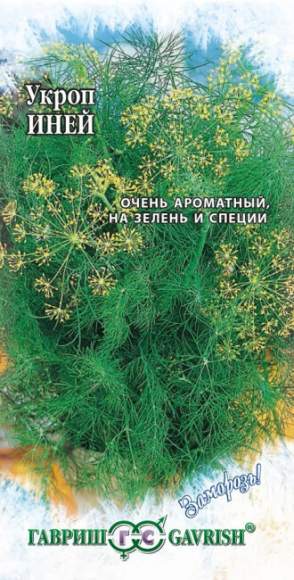 Укроп Иней (гавриш) 2,0 гр  – купить в г. Омск