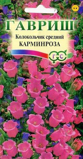 Колокольчик Карминроза (гавриш) 0,05гр  – купить в г. Омск