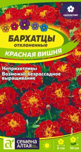 Бархатцы Красная вишня (семена алтая) 0,2 гр  – купить в г. Омск