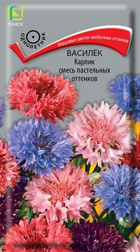Василек Карлик смесь пастельных оттенков (поиск) 0,1 гр – купить в г. Омск Василек Карлик смесь пастельных оттенков (поиск) 0,1 гр – купить в г. Омск