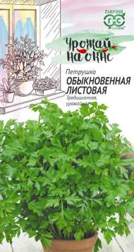 Петрушка листовая Обыкновенная (урожай на окне) (гавриш) 2,0 гр