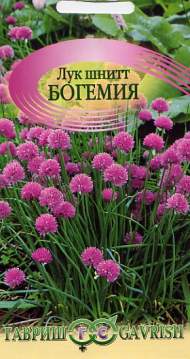 Лук шнитт Богемия (гавриш) 0,5гр