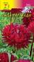 Астра Гала Бургунди (цветущий сад) 0,1 гр  – купить в г. Омск