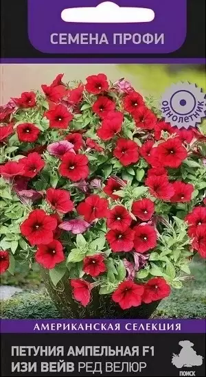 Петуния ампельная Изи Вейв Ред Велюр F1 (поиск) 5 шт  – купить в г. Омск