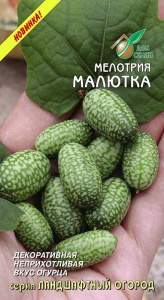 Мелотрия Малютка (дом семян) 8шт  – купить в г. Омск