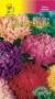 Астра Вдохновение смесь (цветущий сад) 0,2 гр  – купить в г. Омск