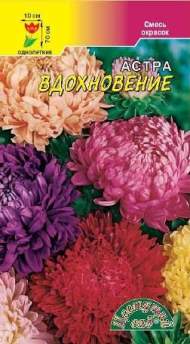 Астра Вдохновение смесь (цветущий сад) 0,2 гр Астра Вдохновение смесь (цветущий сад) 0,2 гр
