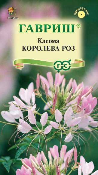 Клеома Королева роз (гавриш) 0,2 гр  – купить в г. Омск