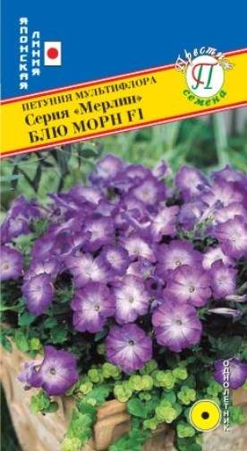 Петуния мультифлора Блю морн F1 (престиж) 10шт  – купить в г. Омск
