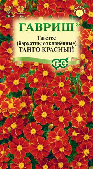 Бархатцы Танго красный (гавриш) 7 шт