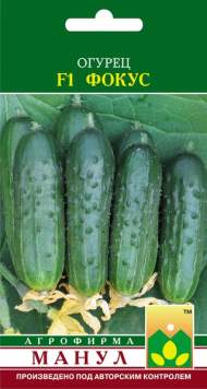 Огурец Фокус F1 (манул) 10шт Огурец Фокус F1 (манул) 10шт