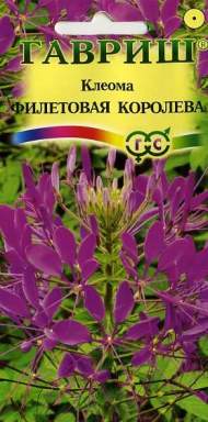 Клеома Фиолетовая королева (гавриш) 0,2гр