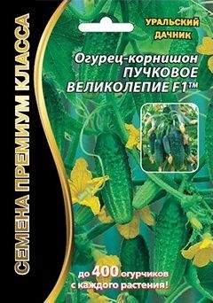 Огурец Пучковое великолепие F1 (уральский дачник) 5 шт  – купить в г. Омск