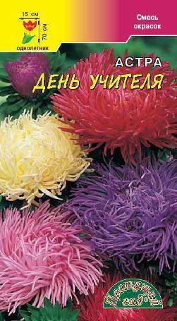 Астра День учителя смесь (цветущий сад) 0,2 гр Астра День учителя смесь (цветущий сад) 0,2 гр