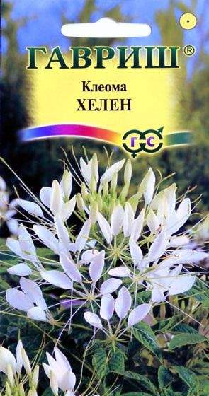 Клеома Хелен (гавриш) 0,2гр  – купить в г. Омск