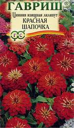 Цинния Красная шапочка (гавриш) 0,3гр  – купить в г. Омск