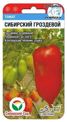 Томат Сибирский гроздевой (сибирский сад) 20шт  – купить в г. Омск