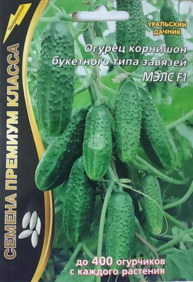 Огурец МЭЛС F1 (уральский дачник) 5 шт  – купить в г. Омск